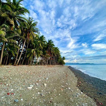 Villa Eliza Ecofarm Tibiao المظهر الخارجي الصورة