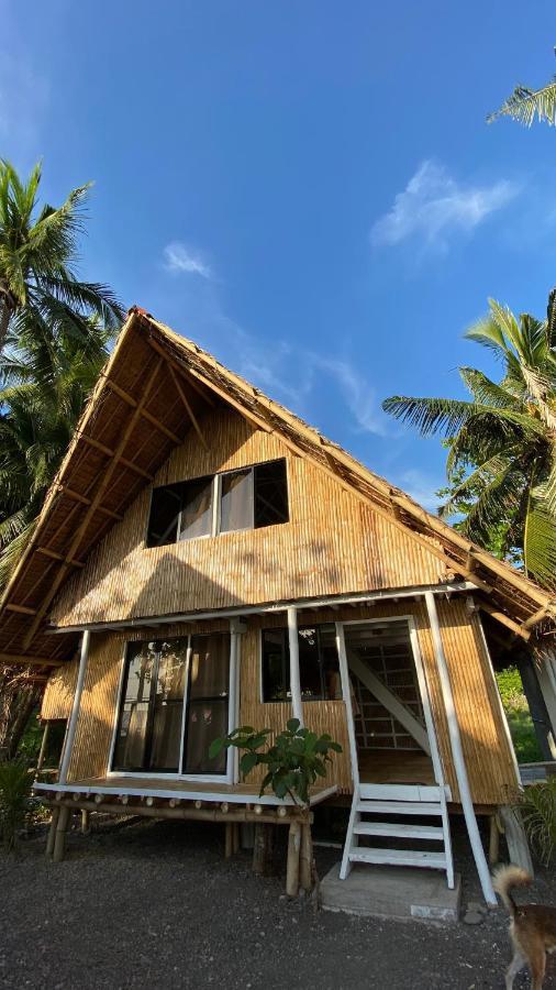 Villa Eliza Ecofarm Tibiao المظهر الخارجي الصورة