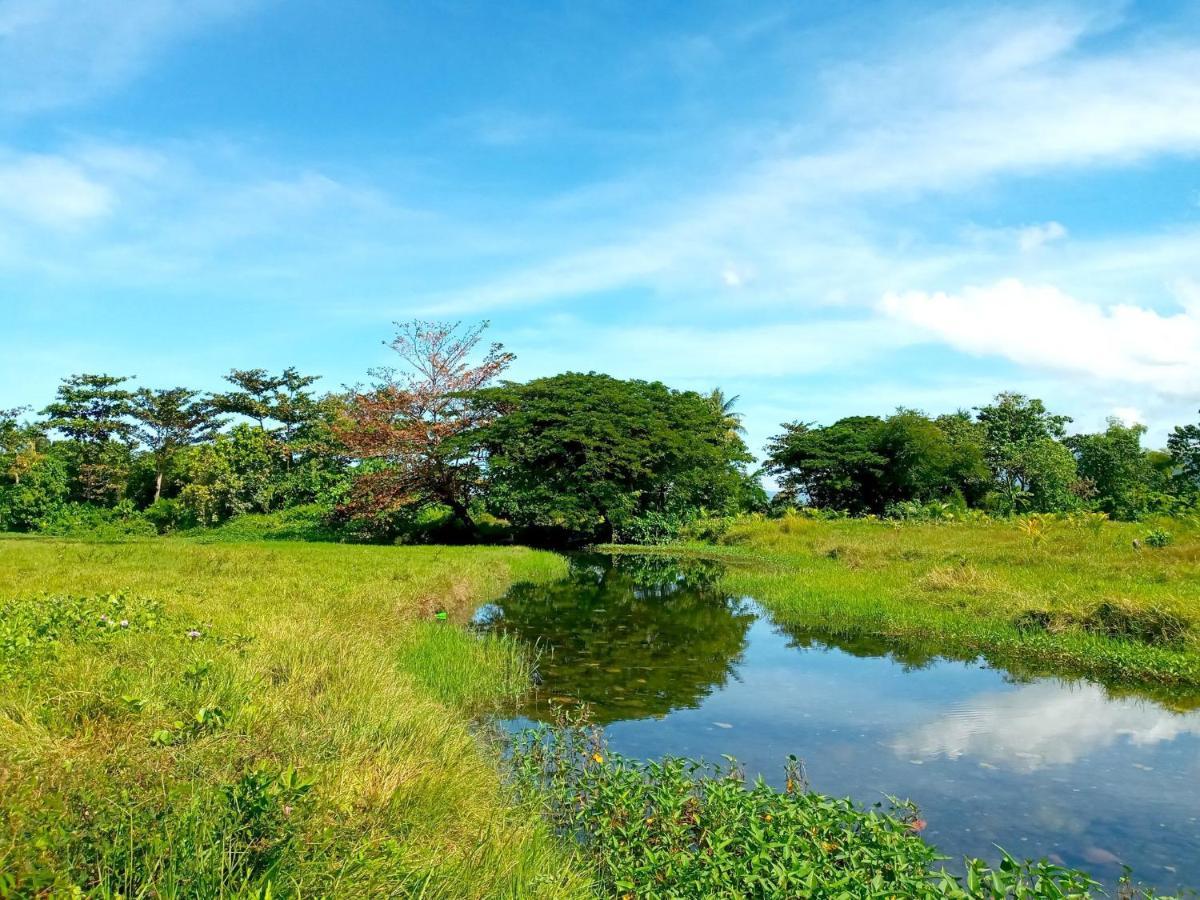 Villa Eliza Ecofarm Tibiao المظهر الخارجي الصورة